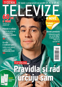Týdeník televize