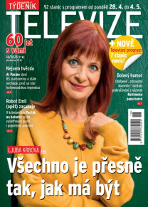 Týdeník televize