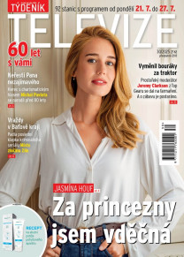 Týdeník televize