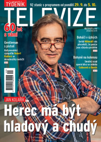 Týdeník televize