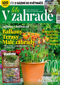 V zahradě