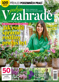 V zahradě