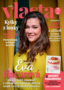 Vlasta