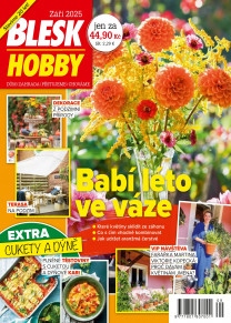 Blesk Hobby