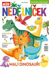 Nedělníček