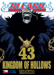 Bleach