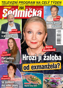 Sedmička