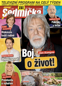 Sedmička