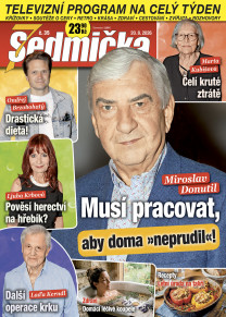 Sedmička