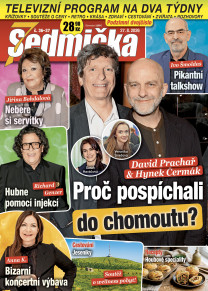 Sedmička