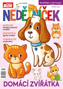 Nedělníček