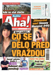 Nedělní Aha!