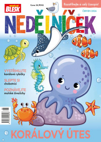Nedělníček
