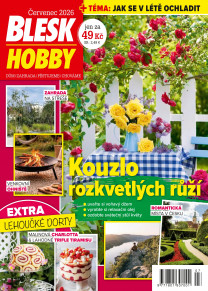 Blesk Hobby