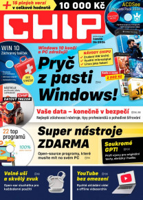 CHIP