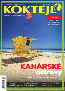 Koktejl