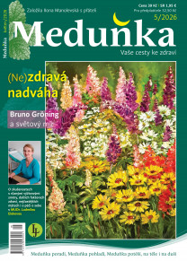 Meduňka
