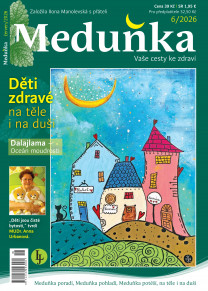 Meduňka
