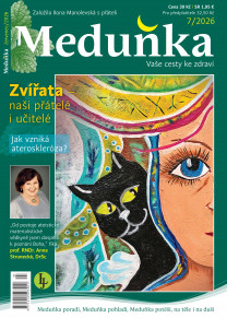 Meduňka
