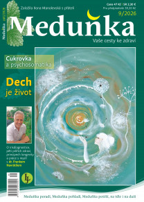 Meduňka