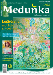 Meduňka