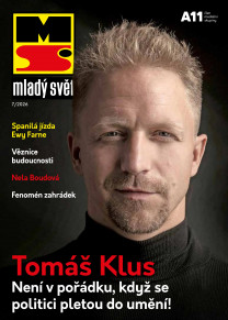 Mladý svět