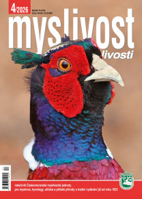 Myslivost