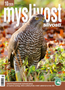 Myslivost