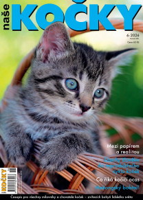 Naše kočky