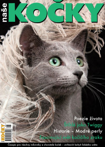 Naše kočky