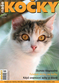 Naše kočky
