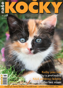 Naše kočky