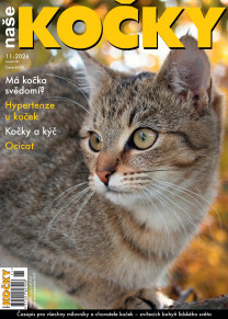 Naše kočky