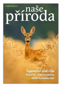 Naše příroda