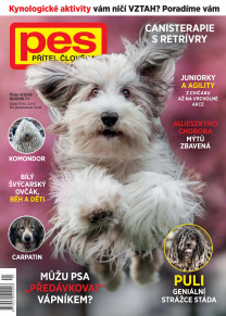 Pes přítel člověka