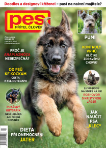 Pes přítel člověka