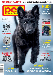 Pes přítel člověka