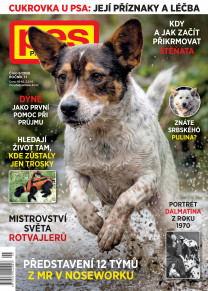 Pes přítel člověka