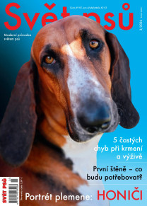 Svět psů
