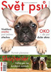 Svět psů
