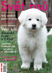 Svět psů