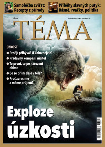 TÉMA