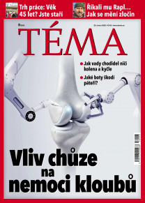 TÉMA