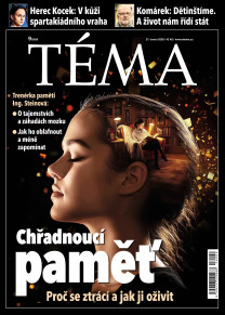 TÉMA