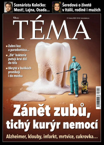 TÉMA