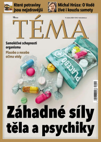 TÉMA