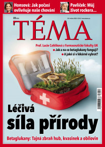 TÉMA
