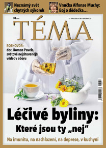 TÉMA