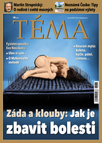 TÉMA