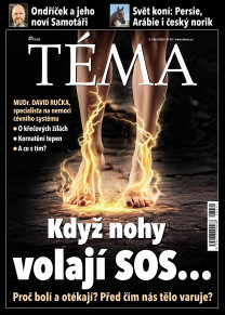 TÉMA